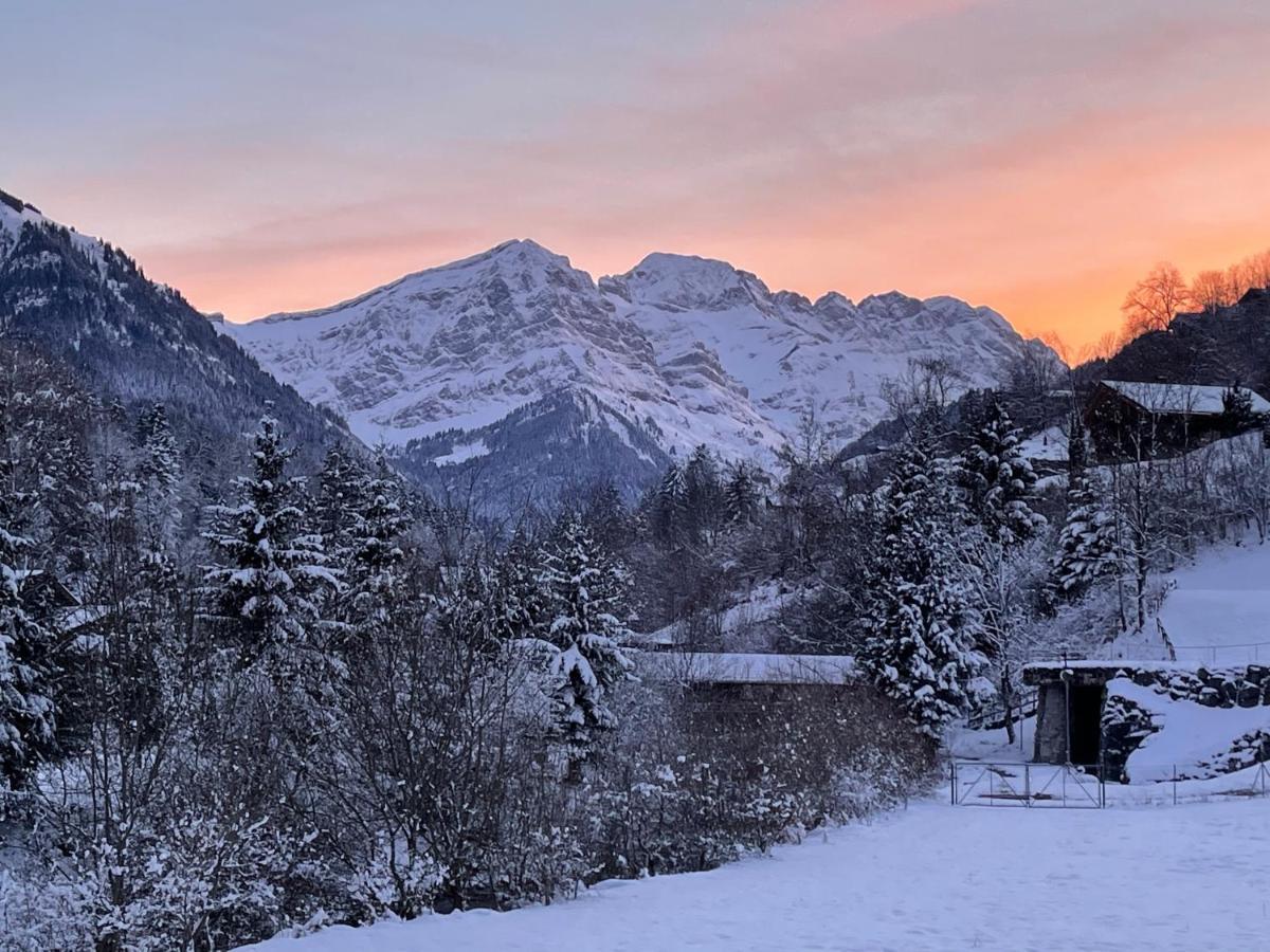 Mountain River Appart Val dʼIlliez Buitenkant foto